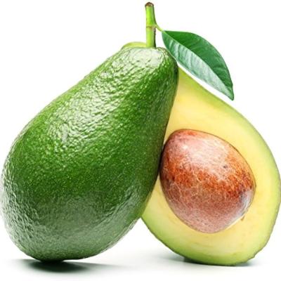AVOCODO