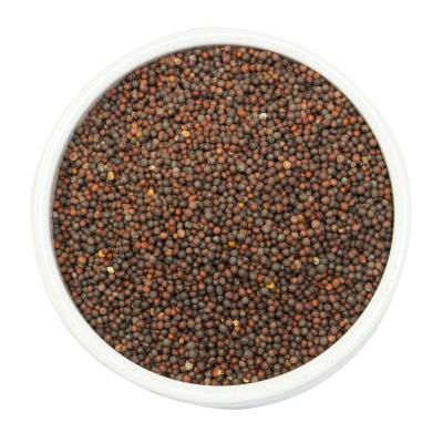 Organic Mustard Small