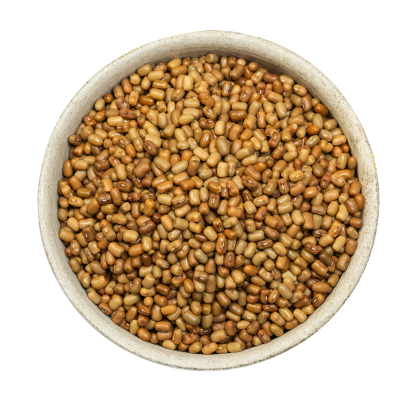 Organic Moth Bean