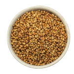 Organic Moth Bean