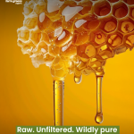Organic Forest Honey