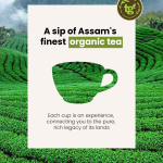 Organic Assam Tea