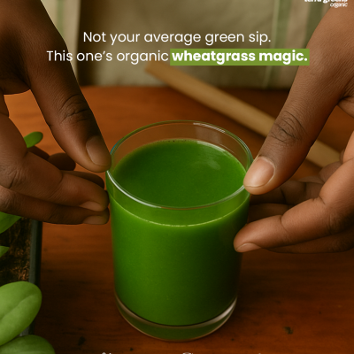 Organic Wheat Grass Powder
