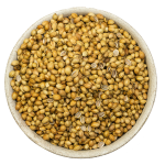 Organic Coriander Whole