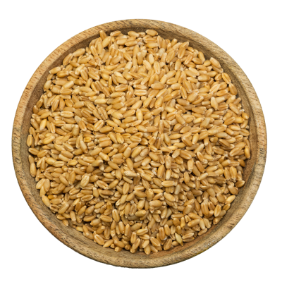 Organic Whole Wheat