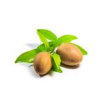 Sapota