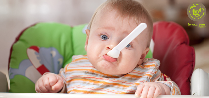 Is Organic Baby Food Better For Your Baby ?