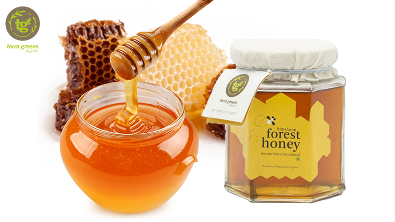 Health Benefits Of Forest Honey